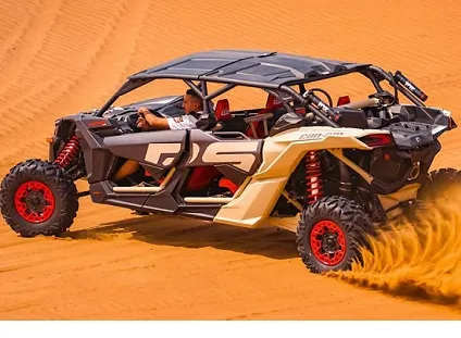 Maverick 4-Seater Buggy