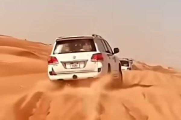 Group of buggies parked at a panoramic desert viewpoint
